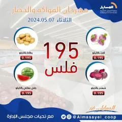 Page 3 in Vegetable and fruit offers at Salmiya co-op Kuwait