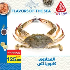 Page 4 in Fish Deals at El Mahlawy market Egypt