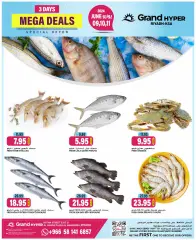 Page 4 in Carnival of Wonders offers at Grand Hyper Saudi Arabia