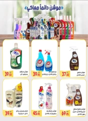 Página 42 en Ofertas de Mawlid al-Nabawi en Mercado El Mahlawy Egipto