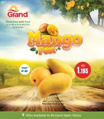 Page 8 |Mango Festival Offers at Grand Hypermarket Kuwait