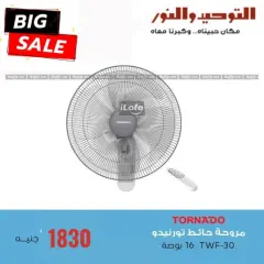 Página 5 en ofertas de verano en Al Tawheed Welnour Egipto