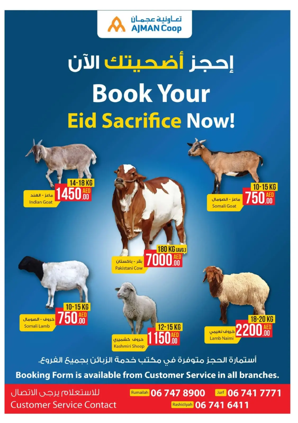Page 2 dans bonne fête chez Coop d'Ajman Émirats arabes unis