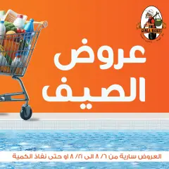 Page 1 in Summer Deals at Gomla market Egypt