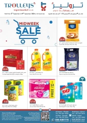 Page 1 in Midweek Deals at Trolleys supermarket UAE