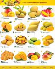 Página 2 en Ofertas Festival del Mango en Rawabi Katar