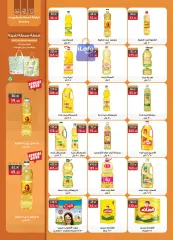 Page 20 in Price smash offers at Al Rayah Market Egypt