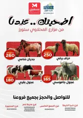 Page 3 in Low Price at El Mahlawy Stores Egypt