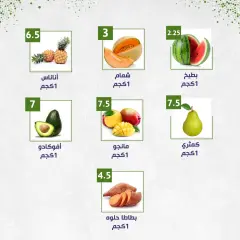 Página 3 en ofertas semanales en Alnahda almasria Emiratos Árabes Unidos