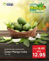Page 6 in Mango Festival Offers at Abu Dhabi coop UAE