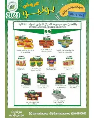 Page 11 in June offers at Garnata co-op Kuwait
