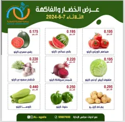 Page 3 in Vegetable and fruit offers at Alegaila co-op Kuwait