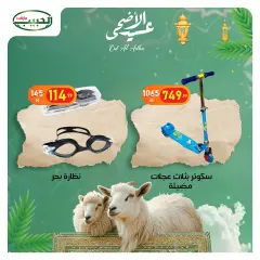 Page 16 in Eid Al Adha offers at Al Habeeb Market Egypt