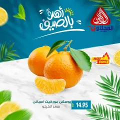 Page 11 in Fresh deals at El Mahlawy market Egypt