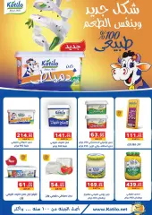 Page 17 in Eid Al Adha offers at Panda Egypt