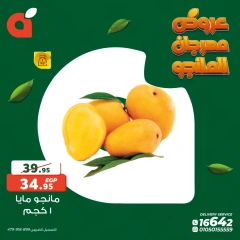 Página 9 en Ofertas Festival del Mango en Panda Egipto