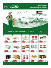 Página 10 en ofertas de verano en Sociedad cooperativa Al-Rawda y Hawali Kuwait