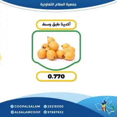 صفحة 9 ضمن عروض الخضار والفاكهة في جمعية السلام التعاونية الكويت