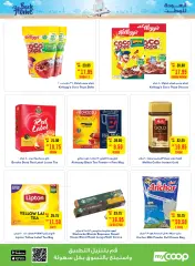 Page 5 in Back to Home offers at Abu Dhabi coop UAE
