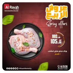 Page 2 in spring offers at Al Rayah Market Egypt