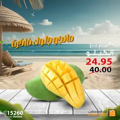 Page 2 in Mango Festival Offers at Fathalla Market Egypt