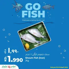 صفحة 2 ضمن عروض مهرجان السمك في لولو الكويت