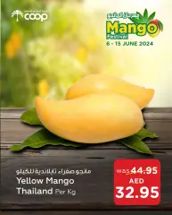 Page 9 in Mango Festival Offers at Abu Dhabi coop UAE