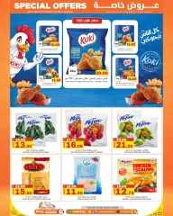 Page 13 in Special promotions at Souq Al Baladi Qatar