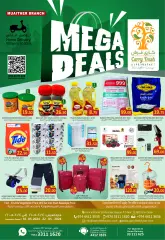 Page 1 in Mega Deals at Carry Fresh Qatar