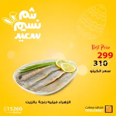 Page 9 in Spring offers at Fathalla Market Egypt