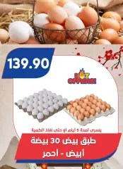 Página 10 en ofertas de verano en Mercado de Bassem Egipto