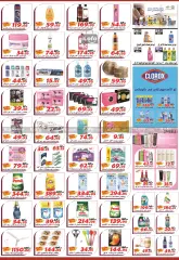 Page 2 in Summer Deals at El Fergany Hypermarket Egypt