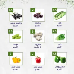 Página 10 en ofertas semanales en Alnahda almasria Emiratos Árabes Unidos