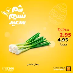 Page 3 in Spring offers at Fathalla Market Egypt