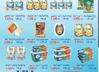 Page 10 in March Festival Offers at Salwa co-op Kuwait