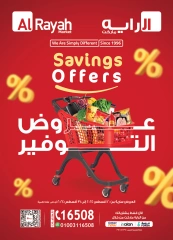 Page 1 in Big Deals at Al Rayah Market Egypt