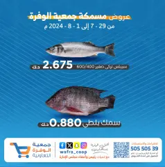 Page 1 dans Offres de poisson chez Coopérative agricole d'Al Wafra Koweït