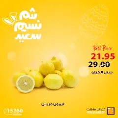 Page 12 in Spring offers at Fathalla Market Egypt