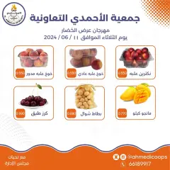 Page 3 in Vegetable and fruit offers at Ahmadi coop Kuwait