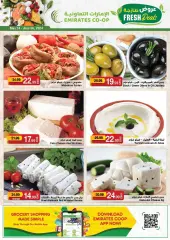 Page 6 in Rounded price at Emirates Cooperative Society UAE