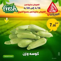 Página 5 en Ofertas frescas en Mercado El Mahlawy Egipto