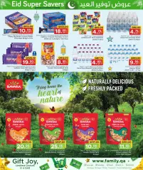 Page 15 in Eid Super Savers at Family Food Centre Qatar