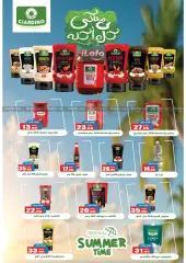 Page 13 in Summer Deals at Bashaer Hypermarket Egypt