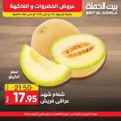 Page 15 in Vegetable and fruit offers at Gomla House Egypt