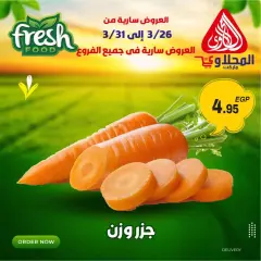 Página 3 en Ofertas frescas en Mercado El Mahlawy Egipto