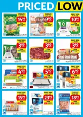 Página 16 en Precio bajo todos los días en supermercado Viva Emiratos Árabes Unidos