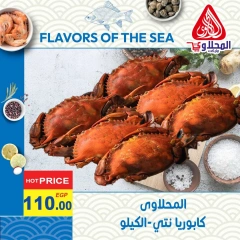 Page 4 in Fish Deals at El Mahlawy market Egypt