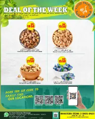 Page 6 in DEAL OF THE WEEK at Food Palace Qatar