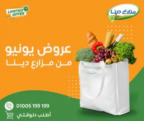 Page 1 in June Offers at Dina Farms Egypt