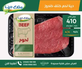 Page 2 in June Offers at Dina Farms Egypt